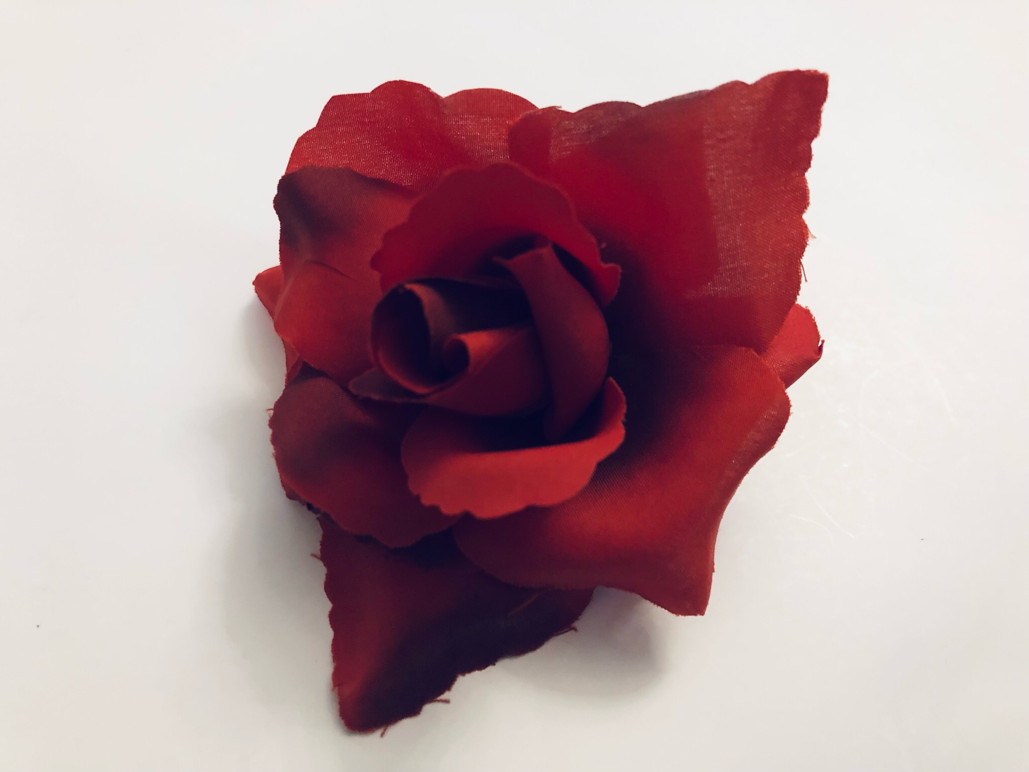 Rose 8 cm