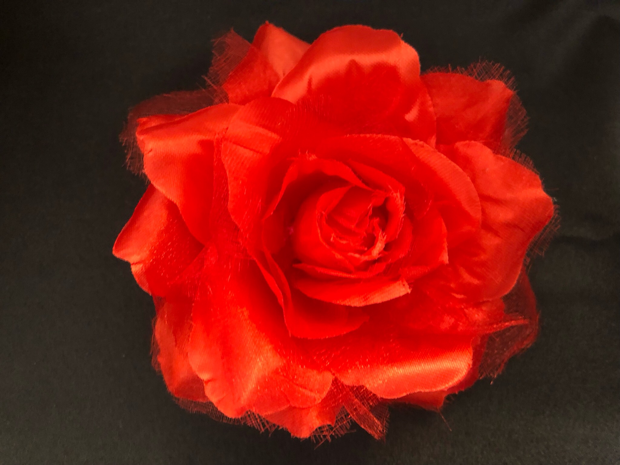 Rose 10 cm